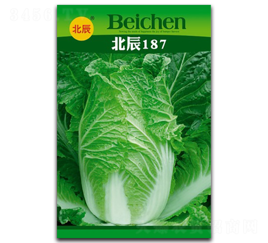 北辰187-大白菜種子-北方種業(yè)
