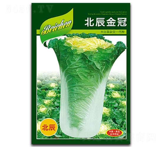 北辰金冠-大白菜種子-北方種業(yè)