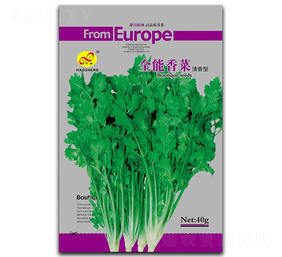 全能香菜-香菜種子-昊晟種業(yè)