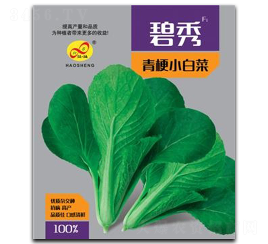 碧秀-小白菜種子-昊晟種業(yè)
