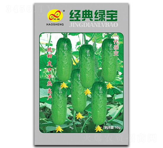 經(jīng)典綠寶-黃瓜種子-昊晟種業(yè)