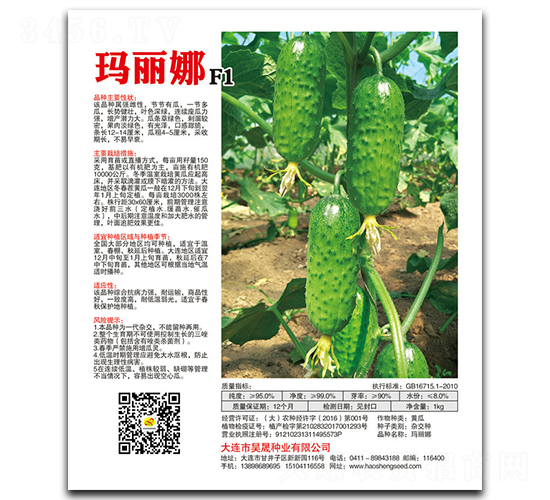瑪麗娜F1-黃瓜種子-昊晟種業(yè)