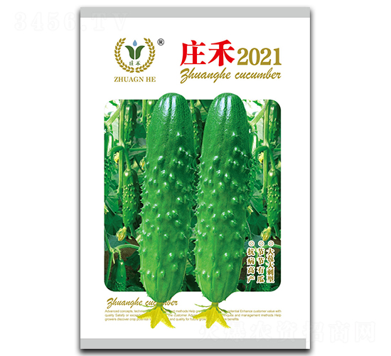 莊禾2021-黃瓜種子-昊晟種業(yè)