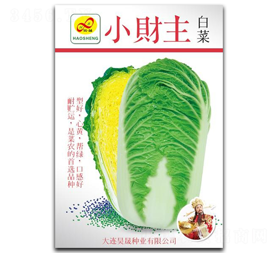 小財主-白菜種子-昊晟種業(yè)