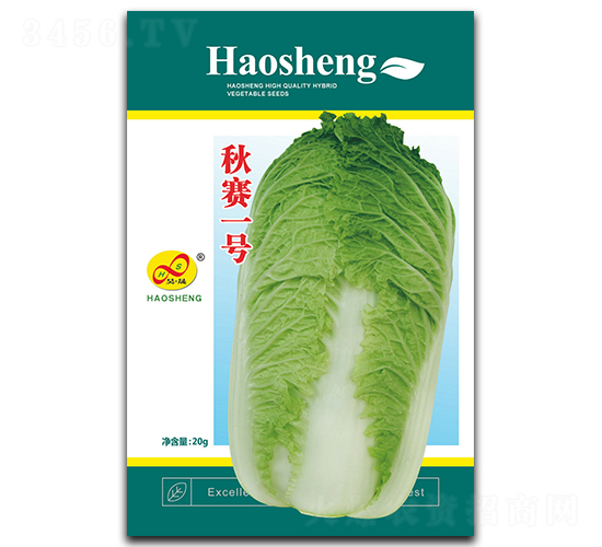 秋賽一號-白菜種子-昊晟種業(yè)