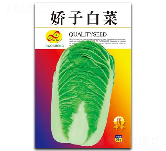 嬌子白菜-白菜種子-昊晟種業(yè)