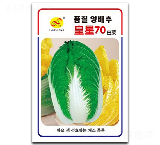 皇星70-白菜種子-昊晟種業(yè)