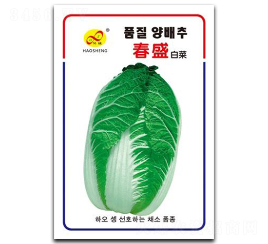 春盛-白菜種子-昊晟種業(yè)