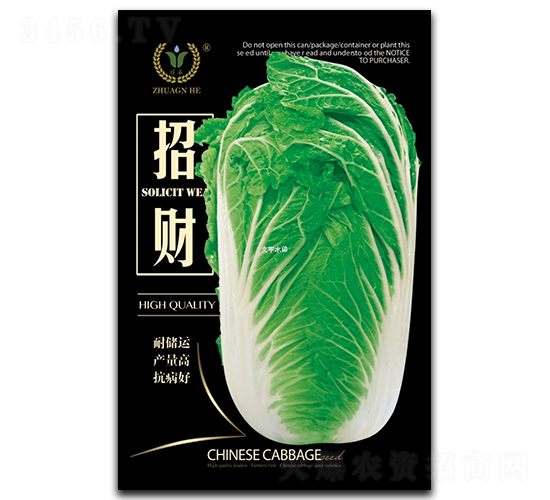 招財-白菜種子-昊晟種業(yè)