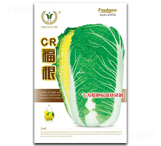 CR福根-白菜種子-昊晟種業(yè)