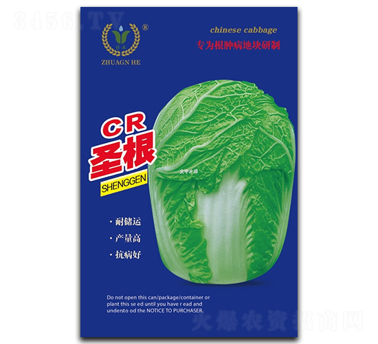 CR圣根-白菜種子-昊晟種業(yè)