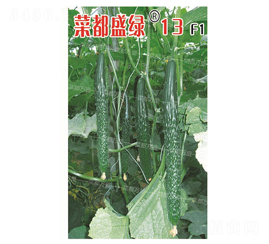 菜都盛綠13-黃瓜種子-菜都萬盛