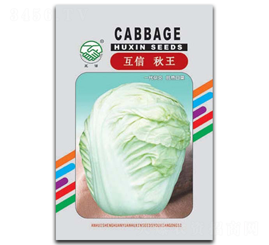 互信秋王-白菜種子-億豪農(nóng)業(yè)