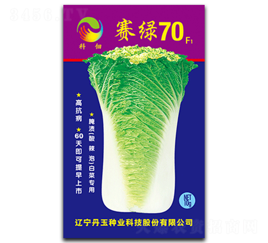 賽綠70-白菜種子-丹玉種業(yè)