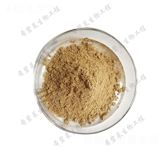 地衣芽孢桿菌-希碧萊生物