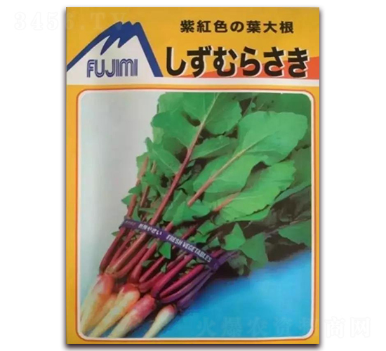 日本紫紅色葉用蘿卜-蘿卜種子-圣農(nóng)高科