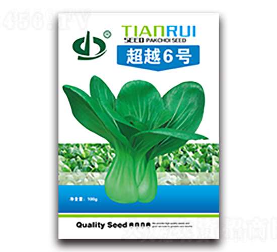 超越6號-青梗菜種子-天瑞種子