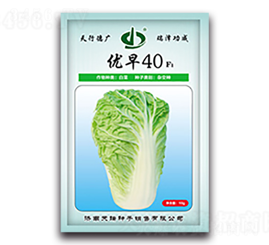 優(yōu)早40-白菜種子-天瑞種子