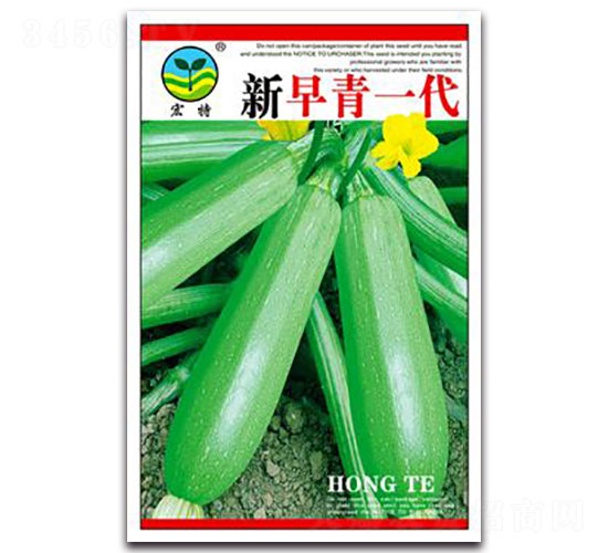 新早青一代-西葫蘆種子-宏特