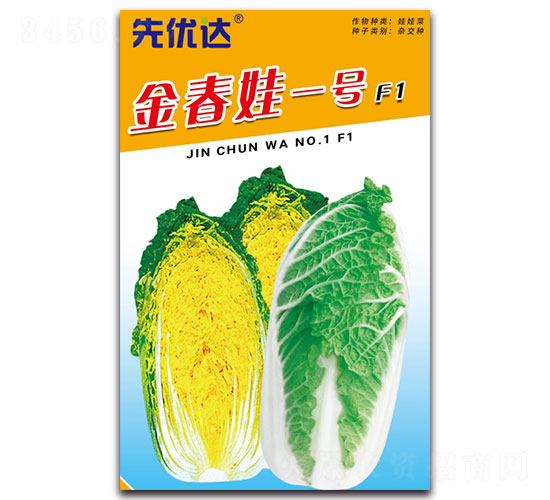 金春娃一號-白菜種子-先優(yōu)達