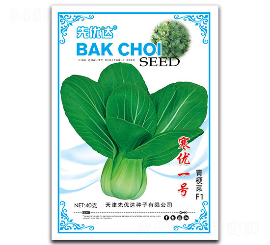 寒優(yōu)一號-青梗菜種子-先優(yōu)達(dá)