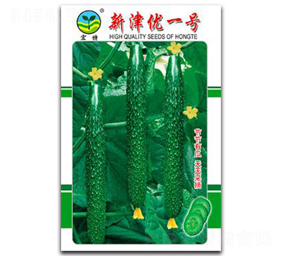 新津優(yōu)一號-黃瓜種子-宏特