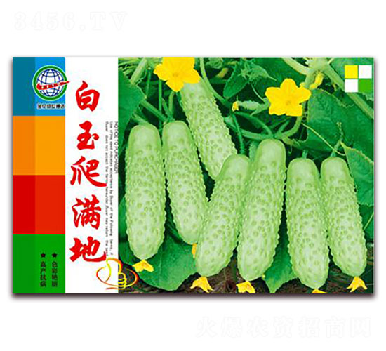 白玉爬滿(mǎn)地-黃瓜種子-宏特