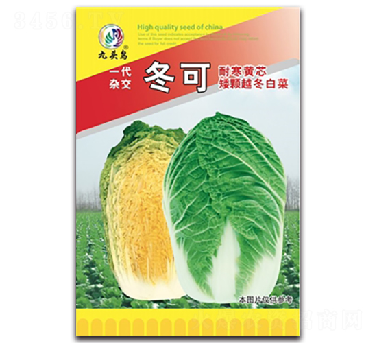 冬可-大白菜種子-九頭鳥