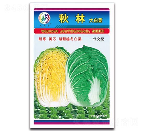 秋林-大白菜種子-九頭鳥