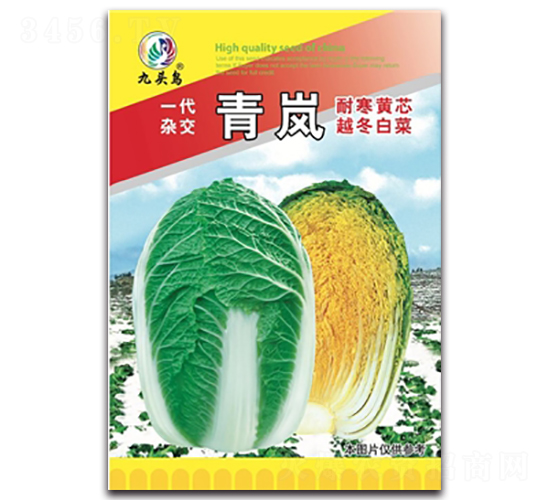 青嵐-大白菜種子-九頭鳥