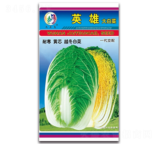 英雄-大白菜種子-九頭鳥