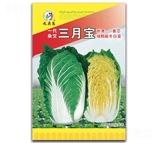 三月寶-大白菜種子-九頭鳥
