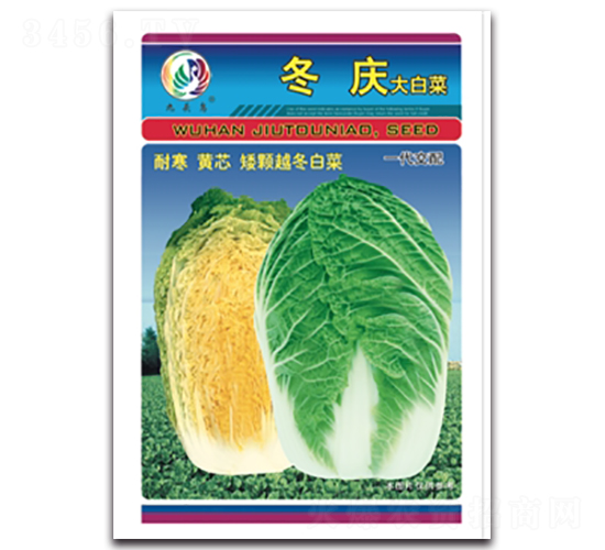 冬慶-大白菜種子-九頭鳥