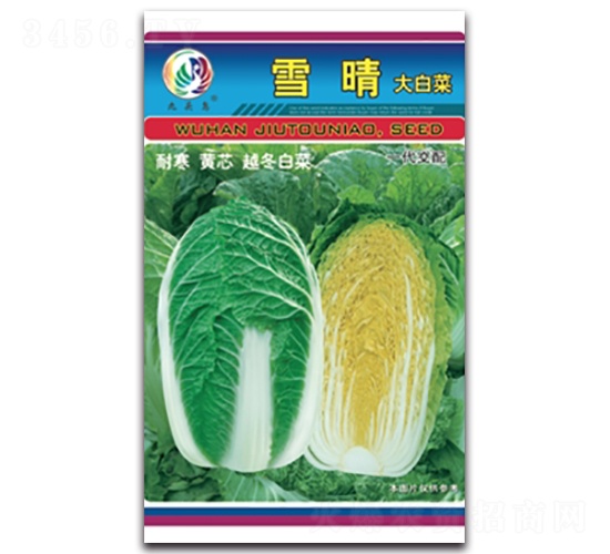 雪晴-大白菜種子-九頭鳥
