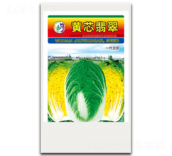 黃芯翡翠-大白菜種子-九頭鳥