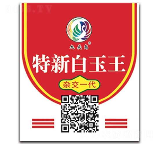 特新白玉王-蘿卜種子-九頭鳥