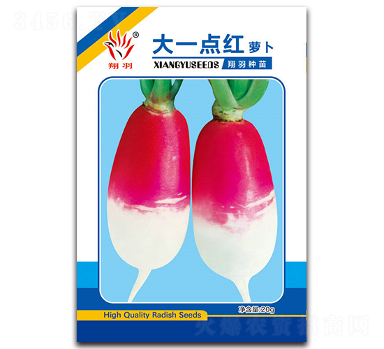 大一點(diǎn)紅蘿卜-蘿卜種子-京密種業(yè)