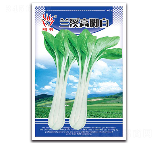 蘭溪高腳白-白菜種子-京密種業(yè)