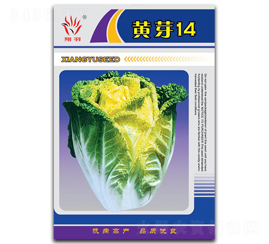 黃芽14-白菜種子-京密種業(yè)
