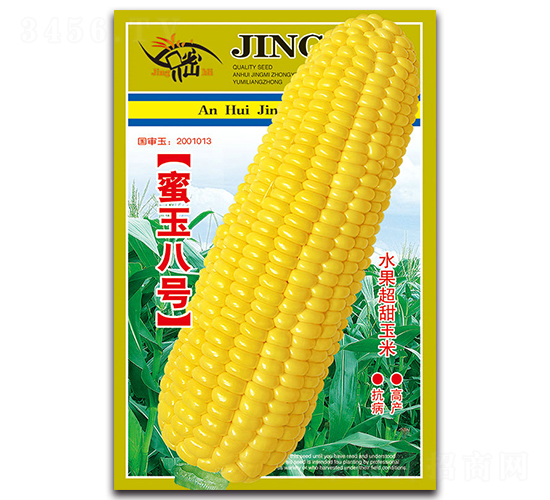 蜜玉八號-甜玉米種子-京密種業(yè)