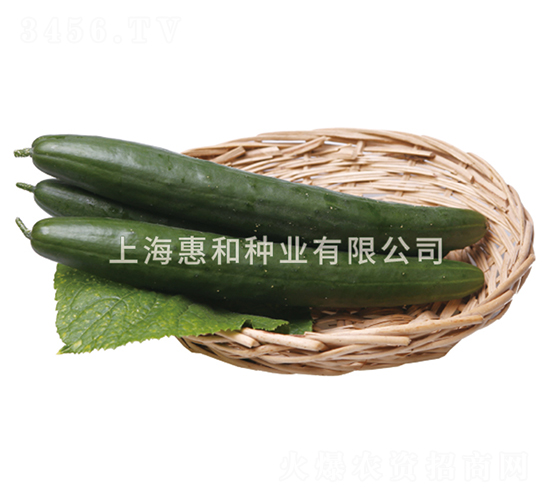 美綠一號(hào)-黃瓜種子-惠和種業(yè)