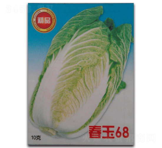 春玉68-白菜種子-睿優(yōu)農(nóng)業(yè)