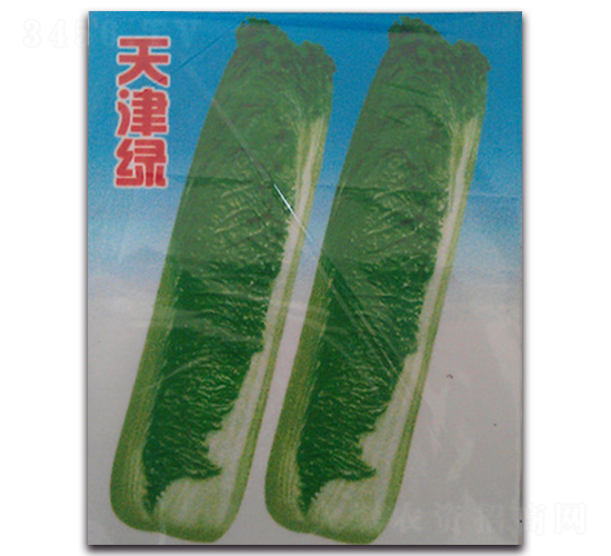 天津綠-白菜種子-睿優(yōu)農(nóng)業(yè)