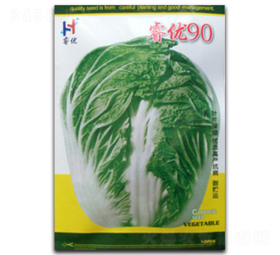 睿優(yōu)90-白菜種子-睿優(yōu)農(nóng)業(yè)