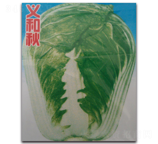 義和秋-白菜種子-睿優(yōu)農(nóng)業(yè)