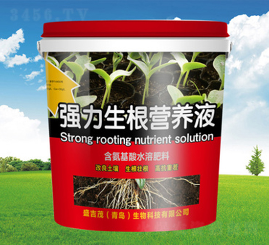 (qing)IB(yng)Һ-