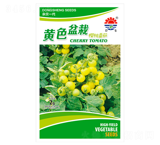 東升黃色盆栽-番茄種子-東升種業(yè)