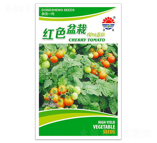 東升紅盆-番茄種子-東升種業(yè)