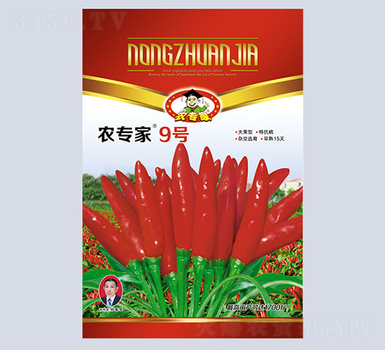 農(nóng)專家9號-辣椒種子-椒都種業(yè)