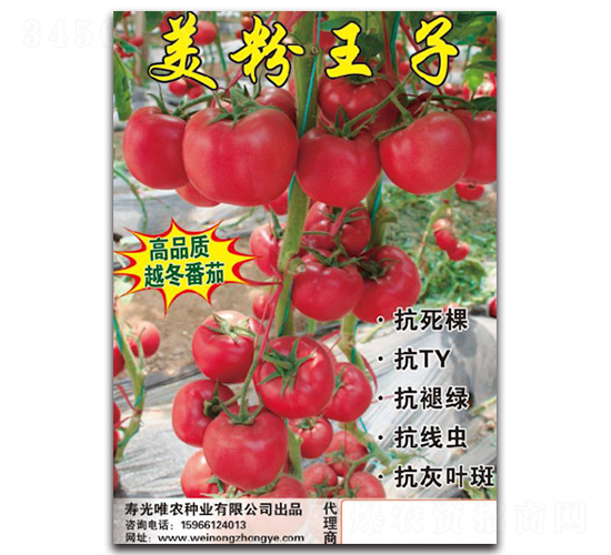 美粉王子F1-粉果番茄種子-唯農種業(yè)